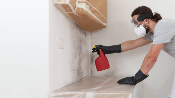 Attic Mold Remediation treatment on roof deck in Brunswick
