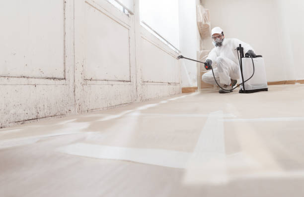 Black mold remediation team in Brunswick