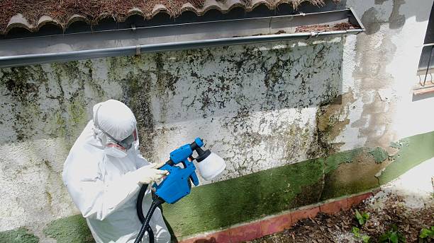 Mold Removal service in Brunswick